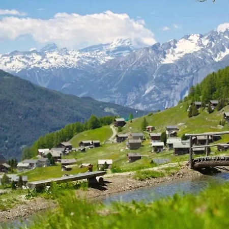 Apartment In Gspon Zu Vermieten *